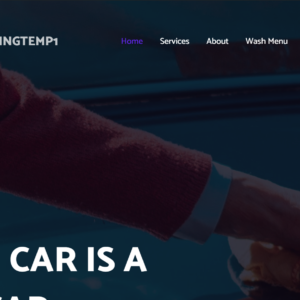 CarCleaningTemp1